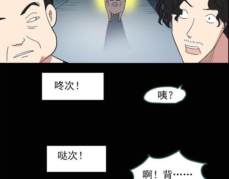 《怪奇实录》漫画最新章节第54话 背宝金猪（中）免费下拉式在线观看章节第【6】张图片