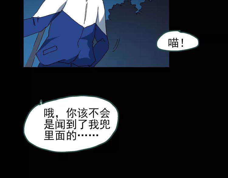 《怪奇实录》漫画最新章节第71话 蛇之诅咒（三）免费下拉式在线观看章节第【96】张图片