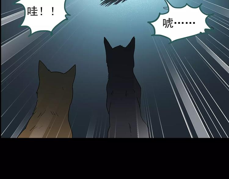 《怪奇实录》漫画最新章节第73话 蛇之诅咒（五）免费下拉式在线观看章节第【111】张图片