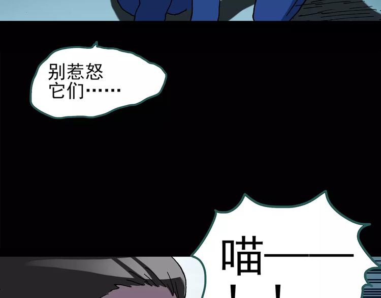 《怪奇实录》漫画最新章节第74话 蛇之诅咒（六）免费下拉式在线观看章节第【11】张图片