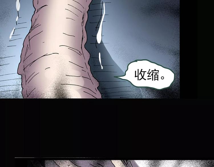 《怪奇实录》漫画最新章节第87话 蜕皮少女（上）免费下拉式在线观看章节第【85】张图片