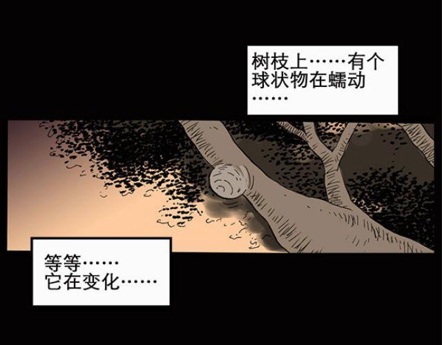 【怪奇实录】漫画-（第10话 配偶树（上））章节漫画下拉式图片-14.jpg