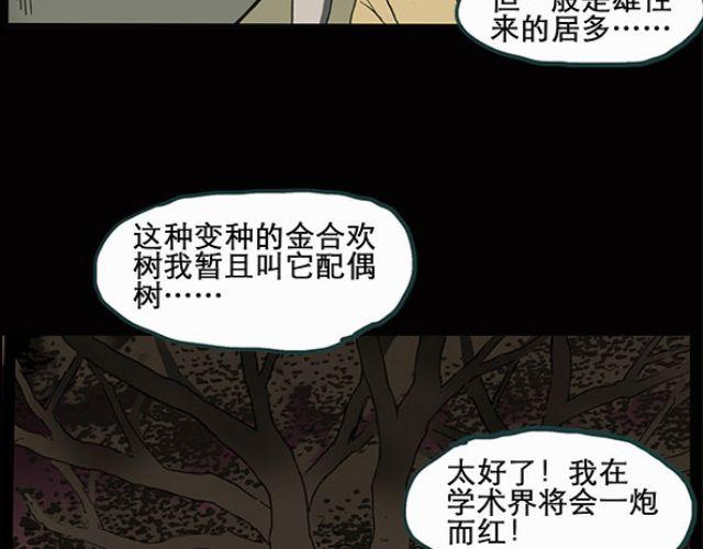 【怪奇实录】漫画-（第10话 配偶树（上））章节漫画下拉式图片-29.jpg