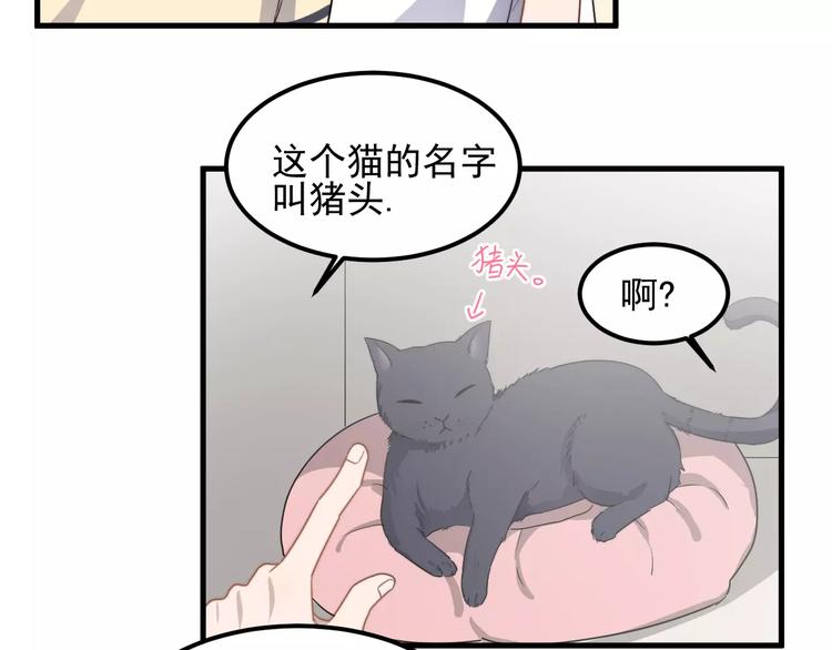 《过度接触》漫画最新章节第43话 你是猪头免费下拉式在线观看章节第【68】张图片