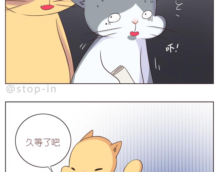 《嗨，我喜欢你》漫画最新章节第245话 喜欢才会撩免费下拉式在线观看章节第【14】张图片