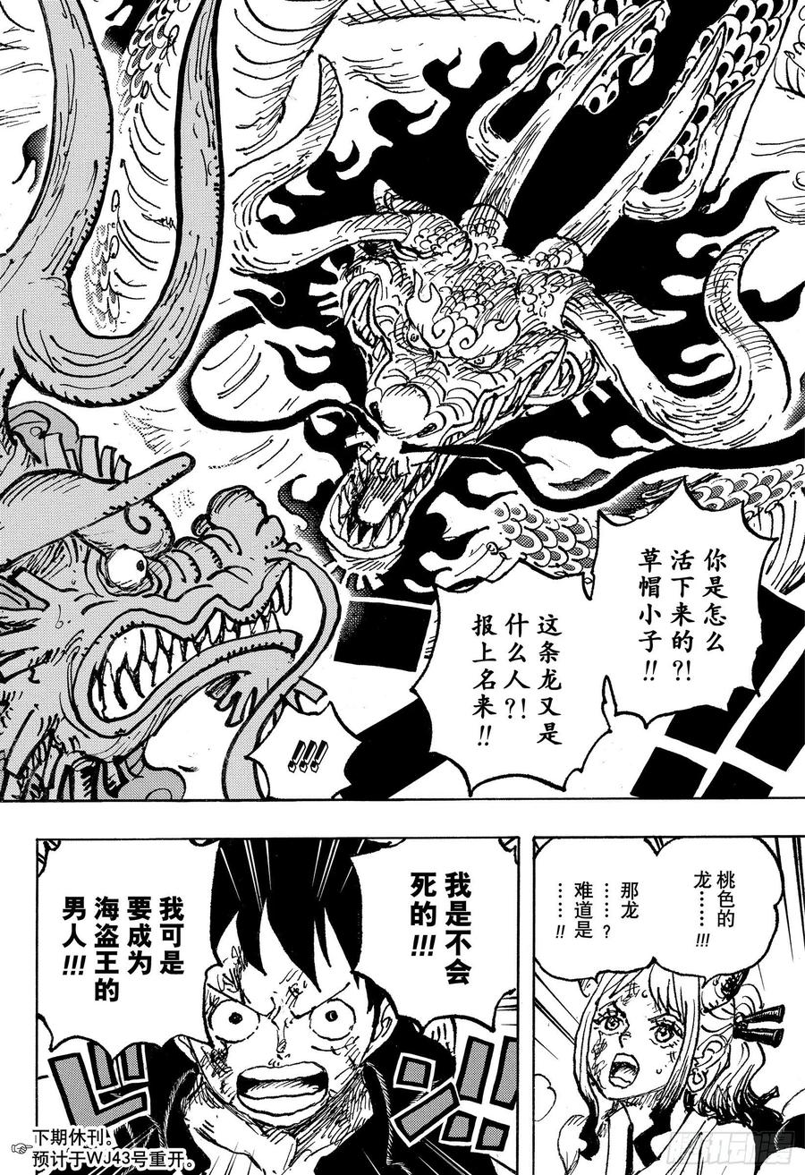 《航海王》漫画最新章节第1025话 双龙图免费下拉式在线观看章节第【16】张图片