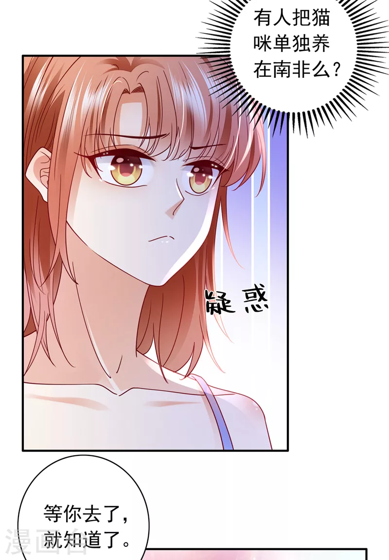 《豪门天价前妻》漫画最新章节第710话 这是……大猫？！免费下拉式在线观看章节第【12】张图片