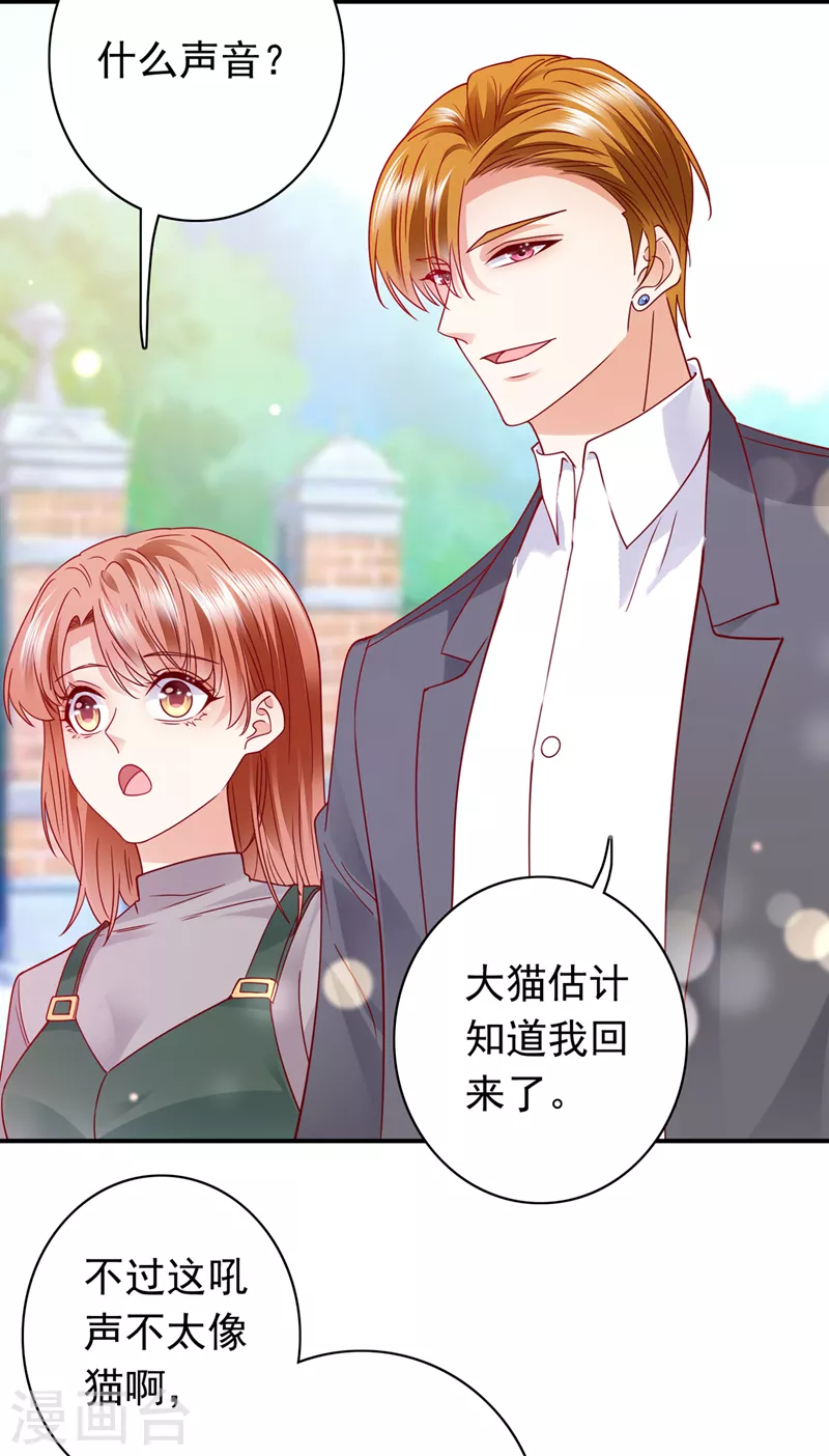 《豪门天价前妻》漫画最新章节第710话 这是……大猫？！免费下拉式在线观看章节第【21】张图片