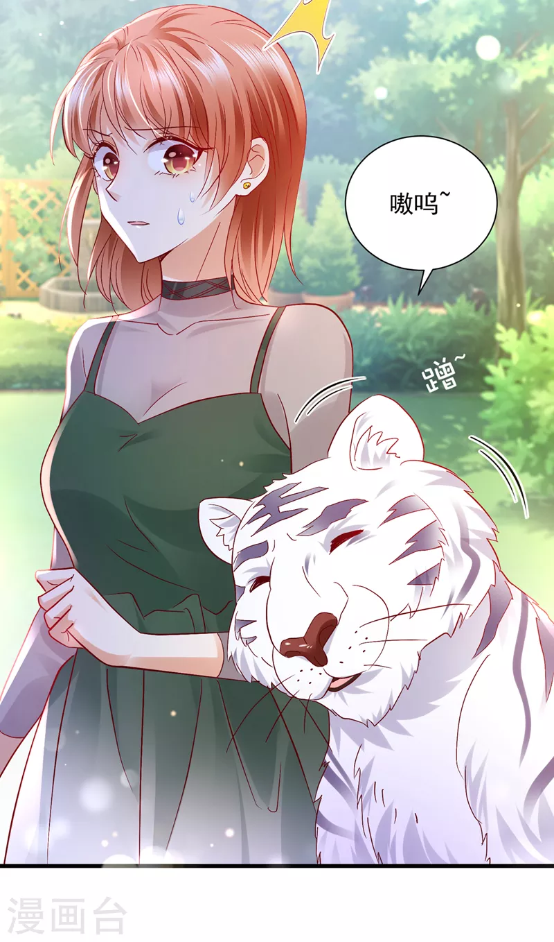 《豪门天价前妻》漫画最新章节第711话 和我一起养大猫吧？免费下拉式在线观看章节第【10】张图片