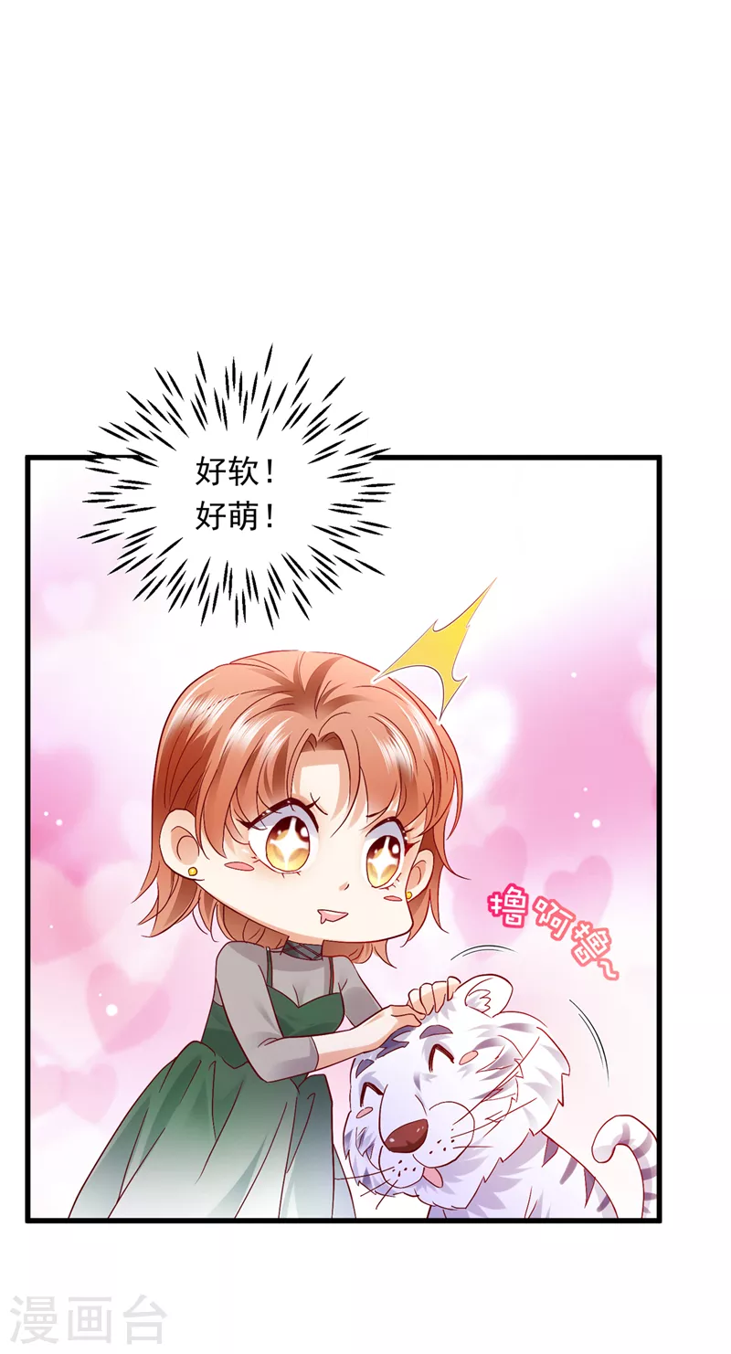 《豪门天价前妻》漫画最新章节第711话 和我一起养大猫吧？免费下拉式在线观看章节第【17】张图片