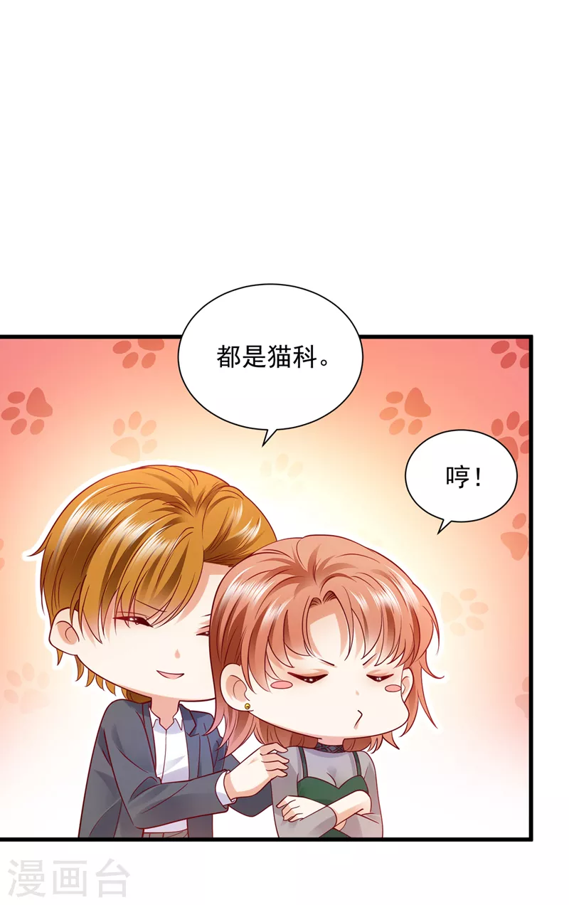 《豪门天价前妻》漫画最新章节第711话 和我一起养大猫吧？免费下拉式在线观看章节第【22】张图片