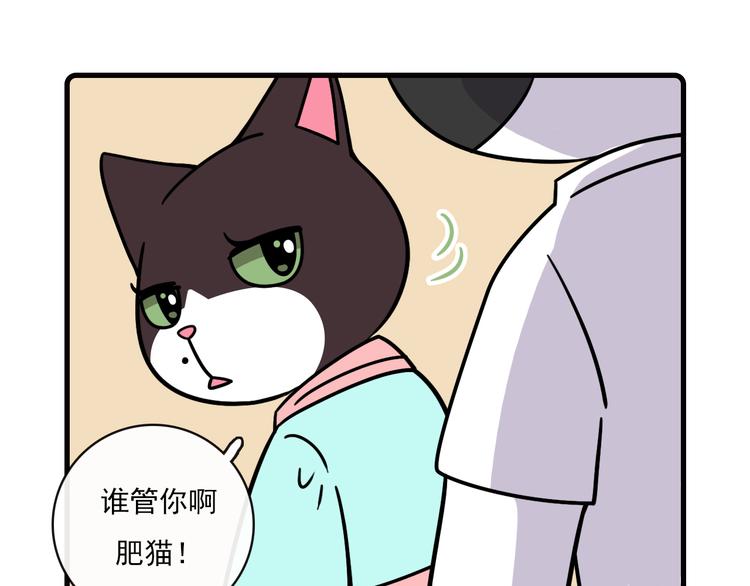 《Hello余雪特》漫画最新章节第33话免费下拉式在线观看章节第【41】张图片