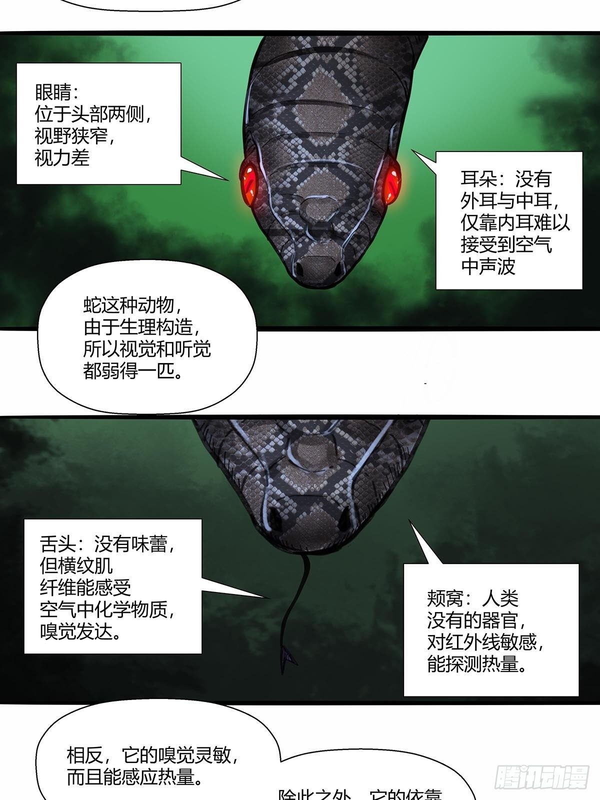 《红顶之下》漫画最新章节15：“偷技能”的技能免费下拉式在线观看章节第【20】张图片