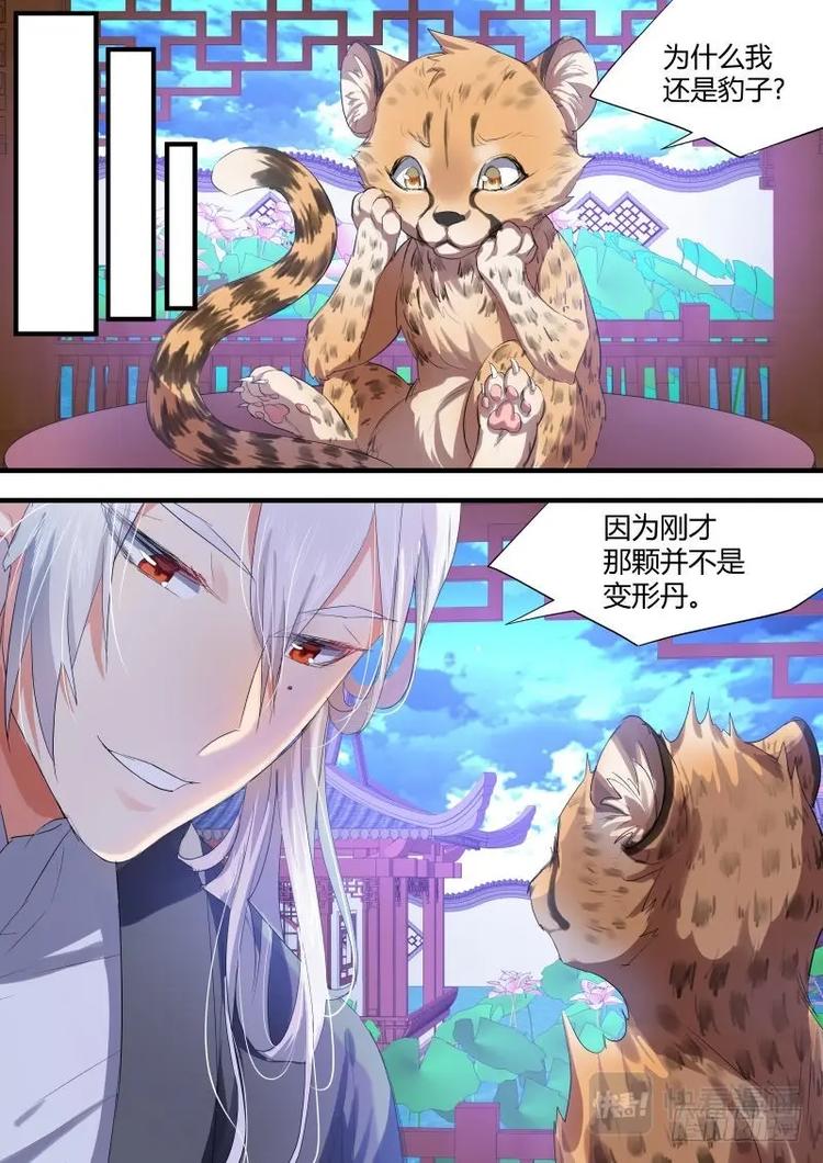 《化龙记》漫画最新章节第61话 第33章 暗箭难防﹙下﹚免费下拉式在线观看章节第【9】张图片