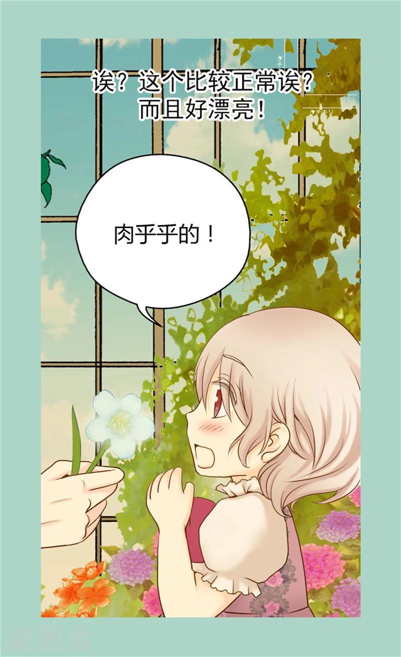 《皇帝的独生女》漫画最新章节第58话 云朵花免费下拉式在线观看章节第【7】张图片