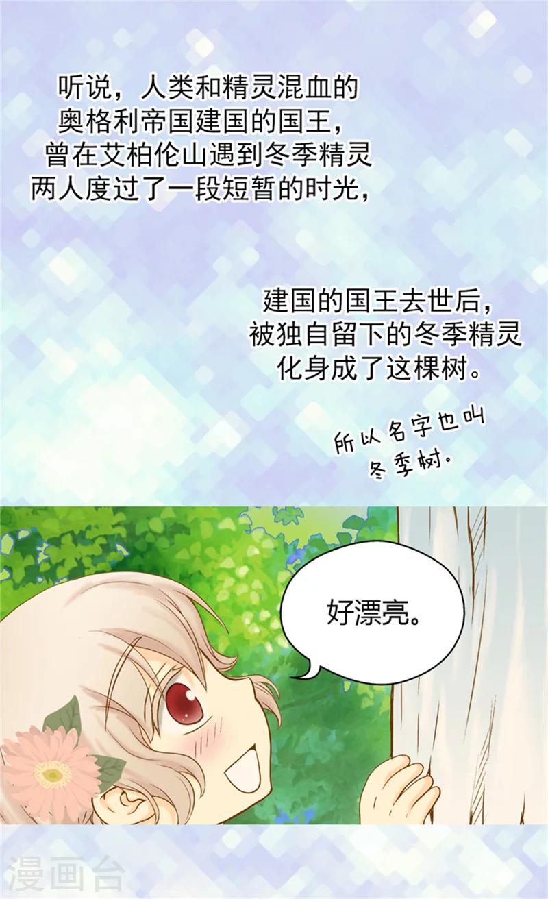 《皇帝的独生女》漫画最新章节第60话 冬季树免费下拉式在线观看章节第【3】张图片