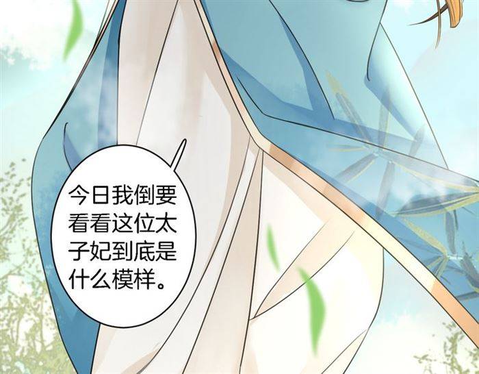 《花颜策》漫画最新章节第14话 太子妃怎么谁都想见？免费下拉式在线观看章节第【10】张图片