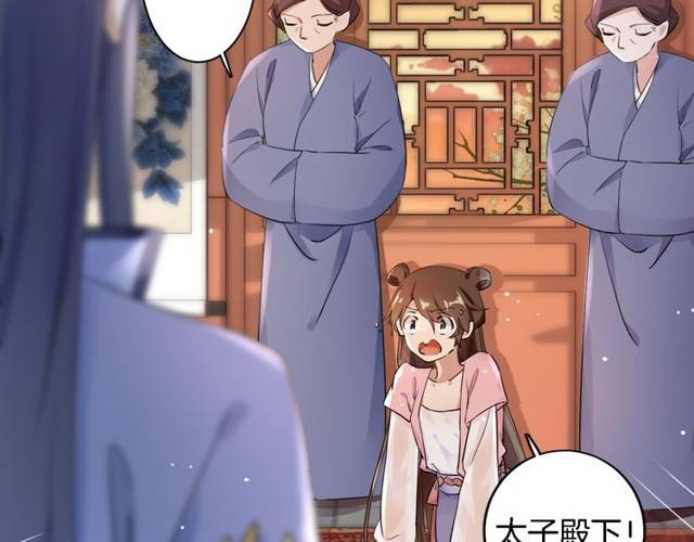 《花颜策》漫画最新章节第16话 务必找到太子妃！免费下拉式在线观看章节第【26】张图片