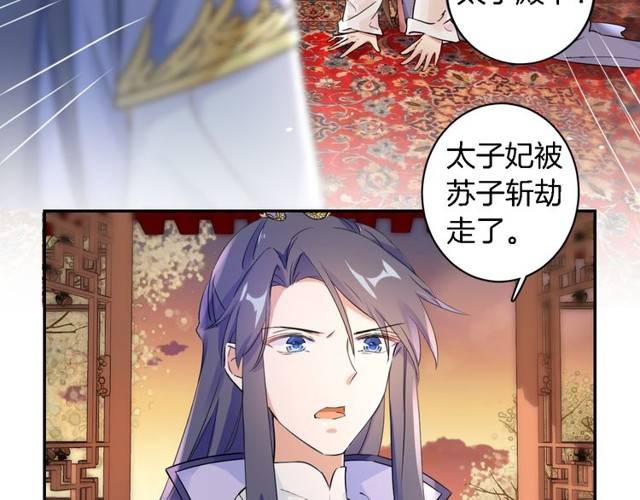 《花颜策》漫画最新章节第16话 务必找到太子妃！免费下拉式在线观看章节第【27】张图片