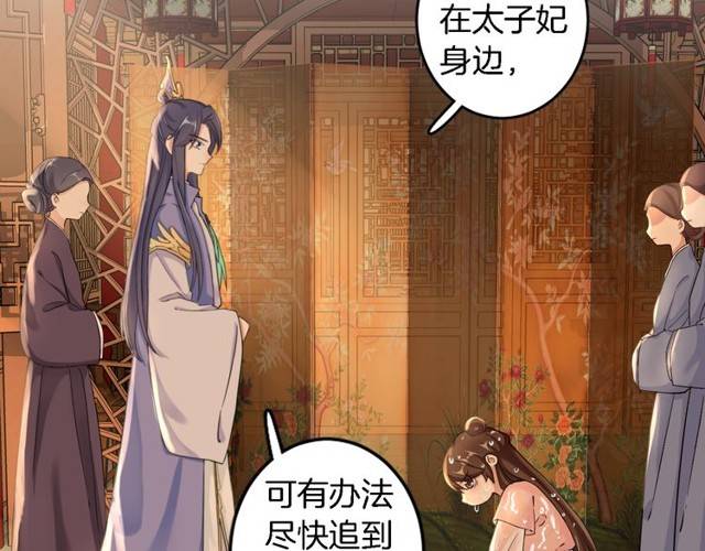 《花颜策》漫画最新章节第16话 务必找到太子妃！免费下拉式在线观看章节第【33】张图片