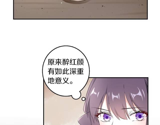 《花颜策》漫画最新章节第21话 醉红颜的由来免费下拉式在线观看章节第【30】张图片