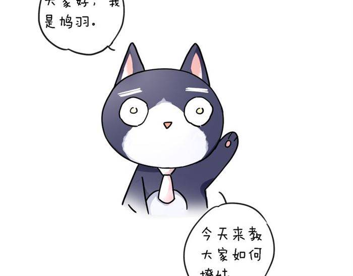 《花颜策》漫画最新章节第23话 与书离公子的姻缘免费下拉式在线观看章节第【66】张图片