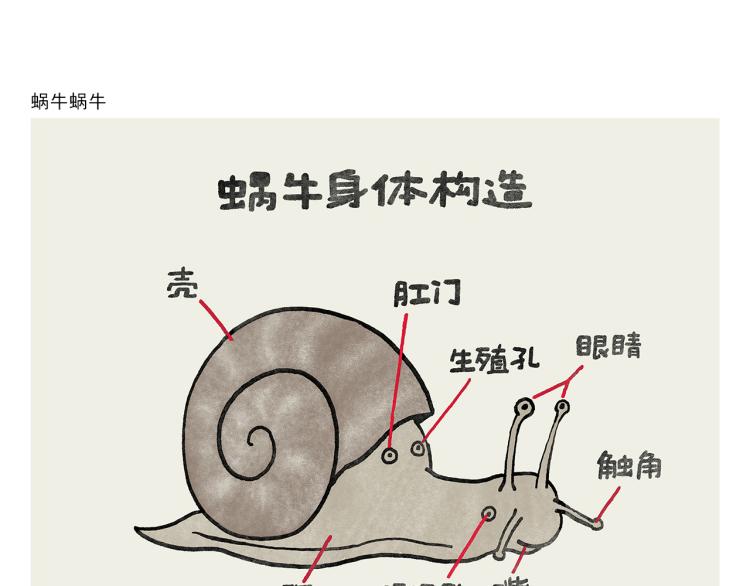 《绘心一笑》漫画最新章节第346话 脸上掉下个取经人免费下拉式在线观看章节第【13】张图片