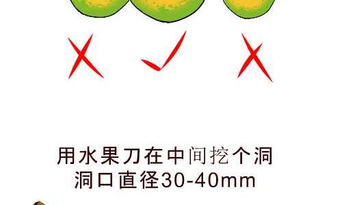 《互撸大漫画》漫画最新章节98 橙子妙用免费下拉式在线观看章节第【5】张图片