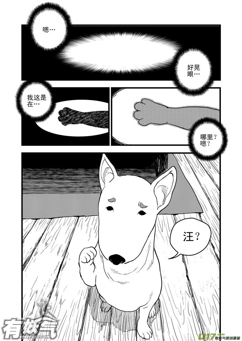 《虎x鹤 妖师录》漫画最新章节26 我不是小白免费下拉式在线观看章节第【8】张图片