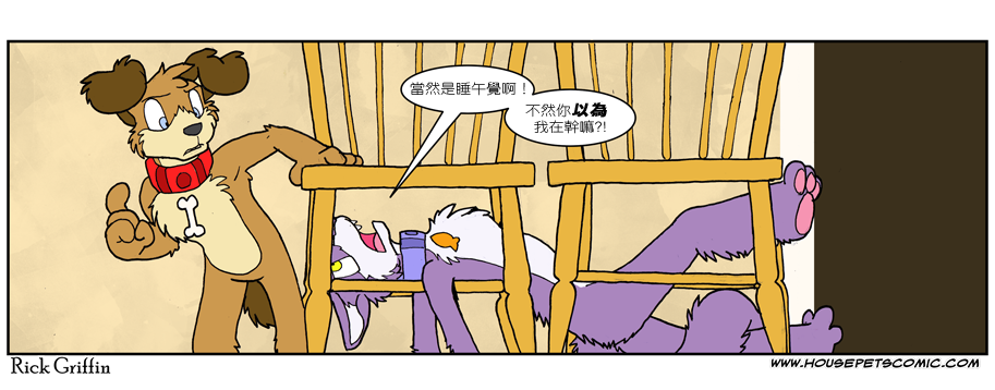 《家宠》漫画最新章节第544话免费下拉式在线观看章节第【1】张图片