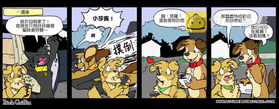 《家宠》漫画最新章节第891话免费下拉式在线观看章节第【1】张图片