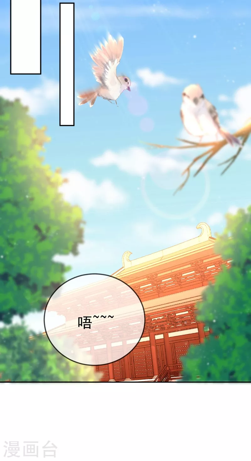 《江山美男入我帐》漫画最新章节第29话 不如拜他为师？免费下拉式在线观看章节第【12】张图片