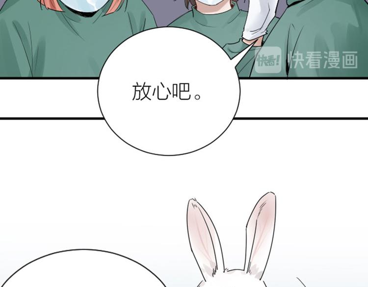 《降智小甜饼》漫画最新章节第272-273话 温暖的狗狗免费下拉式在线观看章节第【12】张图片