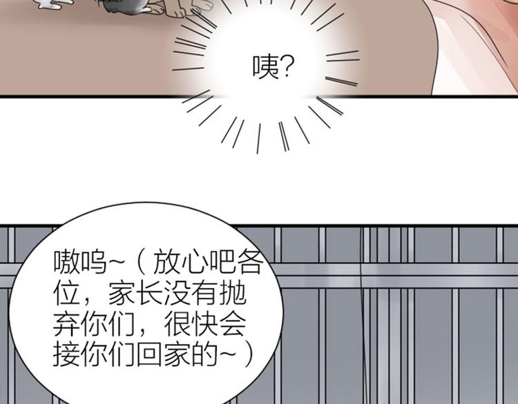 《降智小甜饼》漫画最新章节第272-273话 温暖的狗狗免费下拉式在线观看章节第【49】张图片