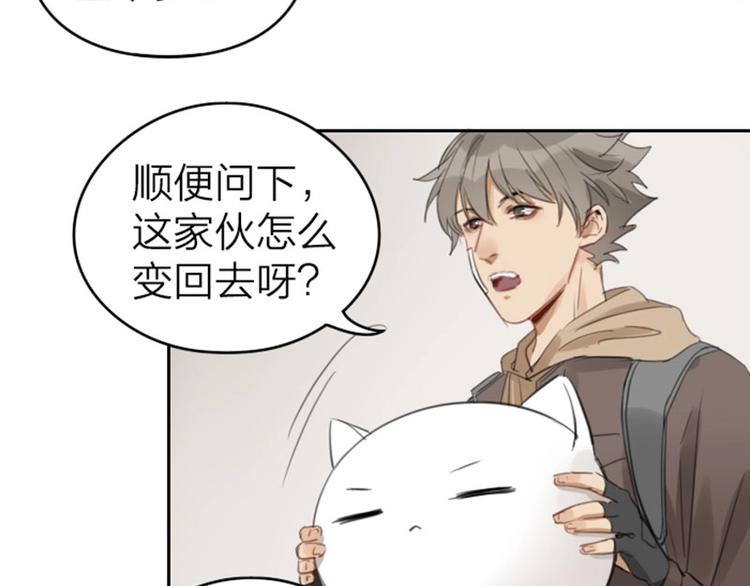 《降智小甜饼》漫画最新章节第51-52话 盘猫猫头免费下拉式在线观看章节第【5】张图片