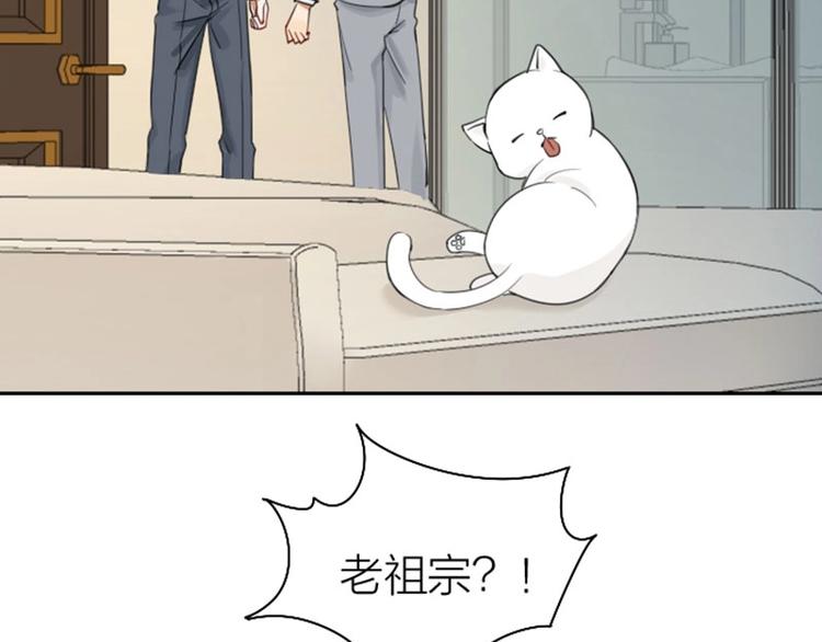 《降智小甜饼》漫画最新章节第81-82话 血族客人免费下拉式在线观看章节第【11】张图片