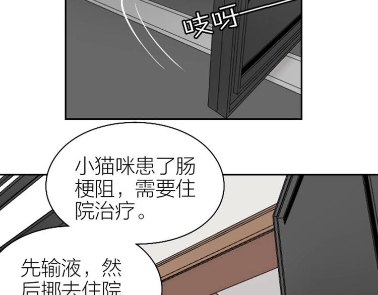 《降智小甜饼》漫画最新章节第101-103话 其乐融融免费下拉式在线观看章节第【19】张图片