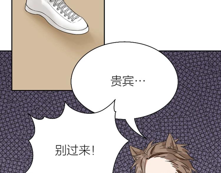 《降智小甜饼》漫画最新章节第148话-第149话 光头免费下拉式在线观看章节第【9】张图片