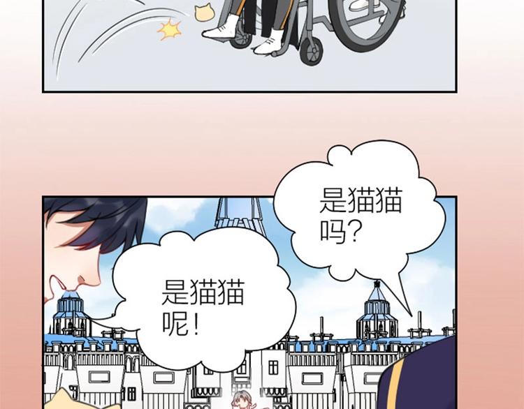 《降智小甜饼》漫画最新章节第156-第157话 变猫猫！免费下拉式在线观看章节第【42】张图片