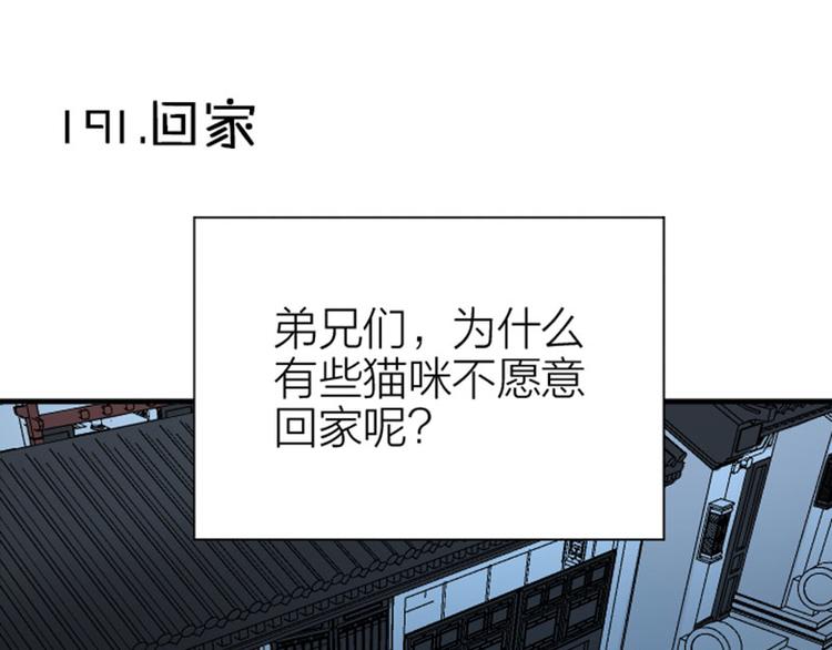 《降智小甜饼》漫画最新章节第190-191话 喵生滑铁卢免费下拉式在线观看章节第【31】张图片