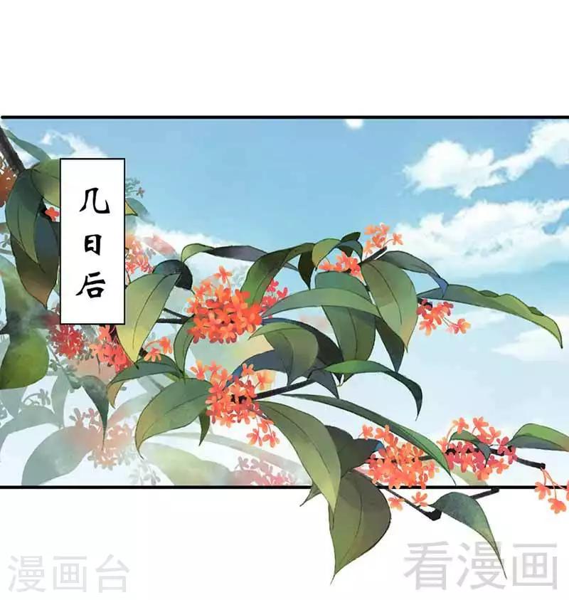 《娇女毒妃》漫画最新章节第117话免费下拉式在线观看章节第【21】张图片