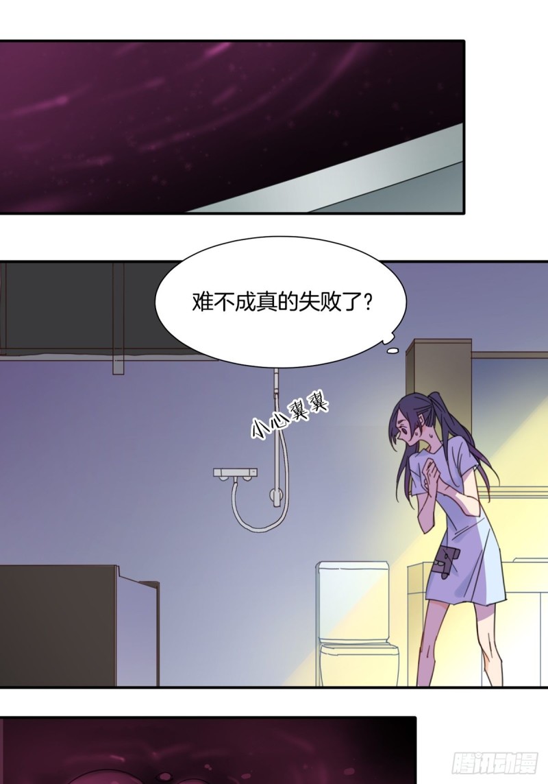 《家养美人》漫画最新章节第十二话免费下拉式在线观看章节第【5】张图片