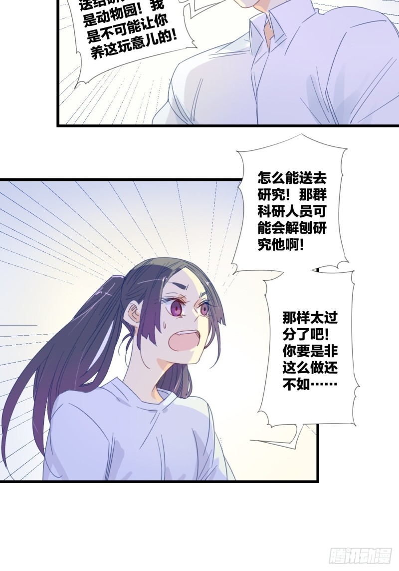 《家养美人》漫画最新章节第十四话免费下拉式在线观看章节第【8】张图片