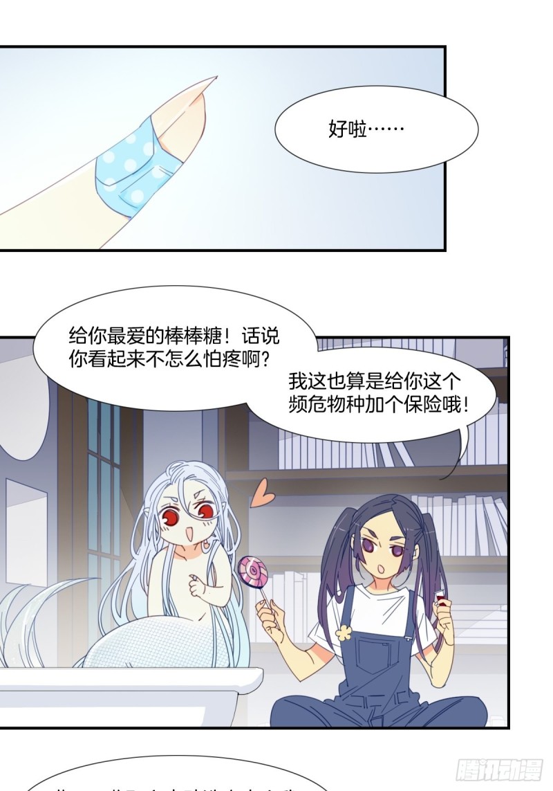 《家养美人》漫画最新章节第十九话免费下拉式在线观看章节第【10】张图片