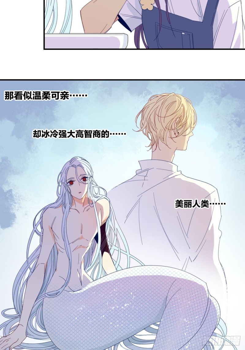 《家养美人》漫画最新章节第十九话免费下拉式在线观看章节第【12】张图片