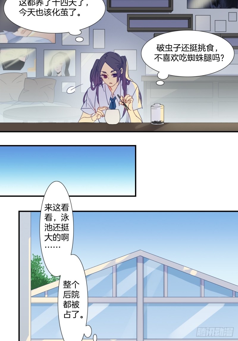 《家养美人》漫画最新章节第十九话免费下拉式在线观看章节第【15】张图片