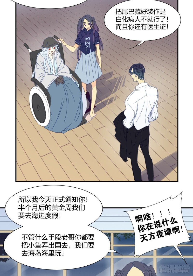 《家养美人》漫画最新章节二十五话免费下拉式在线观看章节第【4】张图片