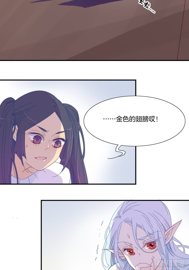 《家养美人》漫画最新章节二十九话免费下拉式在线观看章节第【16】张图片