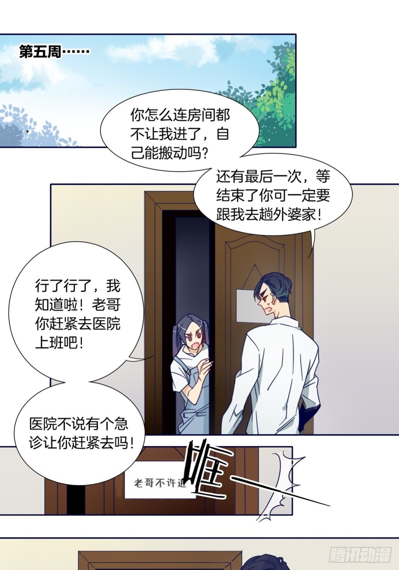 《家养美人》漫画最新章节第七话免费下拉式在线观看章节第【2】张图片