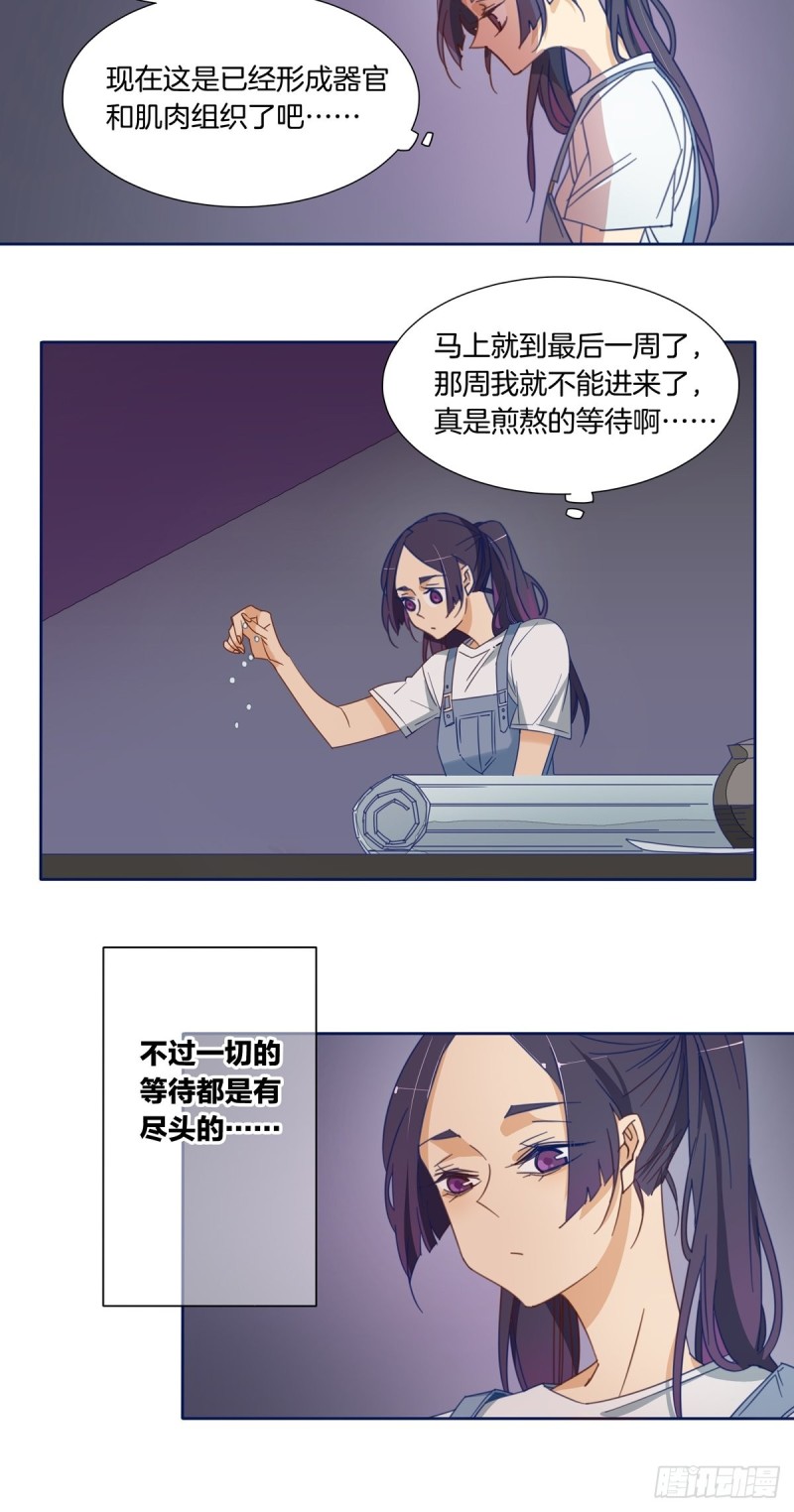 《家养美人》漫画最新章节第七话免费下拉式在线观看章节第【7】张图片